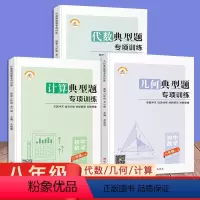 [计算+几何+代数]典型题专项训练 八年级/初中二年级 [正版]新版 初中数学8八年级上下册代数高效训练计算专题冲关几何