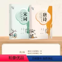 [楷书]2本 唐诗+宋词 [正版] 楷书行楷字帖练字成年男女生唐诗三百首描红钢笔练字帖成人学生正楷硬笔字帖宋词美文书法临