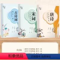 [楷书]3本 唐诗+宋词+古诗词 [正版] 楷书行楷字帖练字成年男女生唐诗三百首描红钢笔练字帖成人学生正楷硬笔字帖宋词美