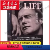 [正版] 渺小一生 柳原汉雅 外国文学美国文学 长篇小说 追风筝的人 生活大爆炸 谢耳朵 A Little Life 林