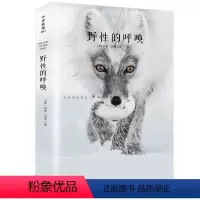 野性的呼唤 [正版]1984乔治奥威尔著1984书原著中文版全译本无删减乔治奥威尔著一九八四反乌托邦三部曲之一政治讽喻小