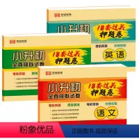 小升初必刷18套押题卷(语数英) 小学升初中 [正版]2023小升初必刷题人教版语文数学英语18套押题卷全真模拟试卷冲刺