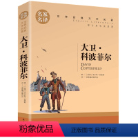 大卫科波菲尔 [正版]5本25元居里夫人传 小学生六年级 世界文学名著 经典外国名著 名家名译 居里夫人自传的故事 青