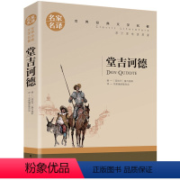 堂吉诃德 [正版]5本25元居里夫人传 小学生六年级 世界文学名著 经典外国名著 名家名译 居里夫人自传的故事 青少年