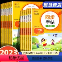 [单本]同步字帖 五年级上 [正版]一年级二年级三小学生练字帖四五六字帖上册下册每日一练笔画笔顺练语文生字同步描红人教版