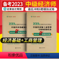 中级经济师[经济基础+工商管理专业和实务]最后冲刺8套试卷 [正版]中级经济师2023年题库考试用书历年真题零基础必刷1