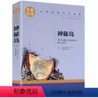 神秘岛 [正版]5本25元居里夫人传 小学生六年级 世界文学名著 经典外国名著 名家名译 居里夫人自传的故事 青少年中