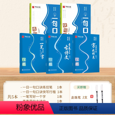 [全套攻略]行楷5本套(赠走珠笔两支) [正版]口诀化练行楷字帖练字成人初学者中大学生硬笔书法控笔训练字行书入门行楷教程