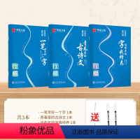 [高频用字]3本套(送走珠笔两支) [正版]口诀化练行楷字帖练字成人初学者中大学生硬笔书法控笔训练字行书入门行楷教程女生