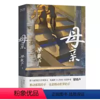 母亲 [正版]母亲 梁晓声 插图珍藏版 与大师面对面精品丛书梁晓声作品 感动无数读者的暖心之作让小孩子学会感恩 先锋