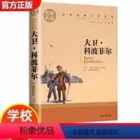 大卫科波菲尔 [正版]15册 高中课外阅读书籍全套 名著高中生语文巴黎圣母院堂吉诃德老人与海大卫科波菲尔呐喊复活高老头乡