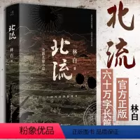 [正版]北流 林白 长篇小说书籍 附赠 别册 织字 支册 李跃豆词典 华语文学传媒大奖 老舍文学奖得主林白