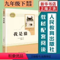 我是猫 [正版][人教版] 儒林外史简爱书籍原著人民教育出版社 简爱和儒林外史九年级下册语文三课外阅读文学名著