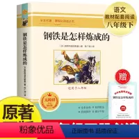 钢铁是怎样炼成的 [正版]全套12册 初中必读名著十二本课外读物阅读书籍 七八九年级上下册语文书目全套老师配套人教版初中