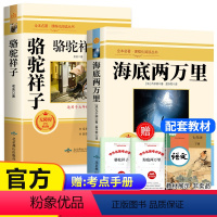 七下必读(骆驼祥子+海底两万里) [正版]全套12册 初中必读名著十二本课外读物阅读书籍 七八九年级上下册语文书目全套老