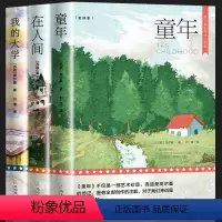 [全3册]童年+我的大学+在人间 [正版]全3册 高尔基三部曲原著 童年在人间我的大学 六年级必课外书小学生阅读世界文学