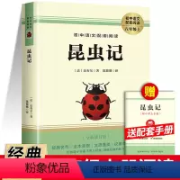[赠考点]昆虫记 [正版]经典常谈 朱自清原著人教版八年级下册课外书必读文学名著初中8下初二语文阅读精典金典长谈常读完整