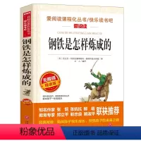 钢铁是怎样炼成的 [正版]钢铁是怎样炼成的初中原著完整版适合小学生初中生课外阅读书籍青少年初二学生版七八年级下册必读名著