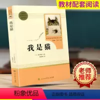 我是猫 9年级下 人民教育出版社 [正版]艾青诗选水浒传儒林外史简爱人民教育出版社原著无删减完整版九年级上册必读名著课外