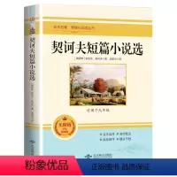 契诃夫短篇小说选 [正版]简爱和儒林外史全套2册九年级下册必读原著书籍人教版名著简爱书籍完整版课外阅读经典书目初中生初三