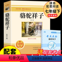 [配套人教版]骆驼祥子 [正版]朝花夕拾鲁迅原著必读书 七年级上册课外书初一7上的书目初中课外阅读书籍和西游记招花朝华呐