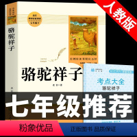 [人教版]骆驼祥子 送考点 [正版]人教版全套12册 初中必读名著十二本 朝花夕拾鲁迅原著和西游记人民教育出版社七年级上