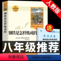 [人教版]钢铁是怎样练成的 送考点 [正版]人教版全套12册 初中必读名著十二本 朝花夕拾鲁迅原著和西游记人民教育出版社