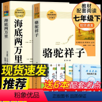 [人教版2册]海底两万里+骆驼祥子 送考点(七下) [正版]人教版全套12册 初中必读名著十二本 朝花夕拾鲁迅原著和西游