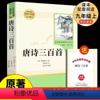 [人教版]唐诗三百首 送考点 [正版]艾青诗选 原著书籍人教版完整版人民教育出版社九年级上册课外书必读的名著书目初三9上