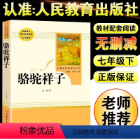 [人教版]骆驼祥子 [正版]朝花夕拾鲁迅原著+西游记无删减版七年级上册必读课外书人民教育出版社老师阅读白洋淀纪事湘行散记