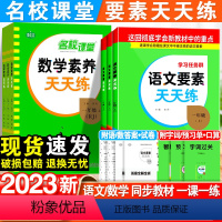 数学·素养天天练-苏教版 三年级上 [正版]2023语文要素天天练一二三四五六年级上册人教版苏教版北师版数学素养一课一练