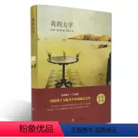 [正版]我的大学(名家名译)高尔基 无删减 世界经典文学名著 文学书籍 学生青少年课外阅读 我的大学中文版