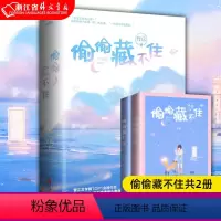 偷偷藏不住 [正版]偷偷藏不住难哄折月亮当我飞奔向你 竹已代表作 青春文学小说甜宠实体书 败给喜欢白日梦我长相思地球上线