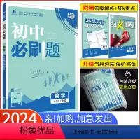 [华师版]数学 九年级下 [正版]2024新版初中必刷题九年级上册数学沪科版HK 初三上册数学沪科版同步训练复习含中考专