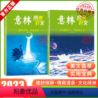 [2册]意林高票好文:逐梦青春+人间烟火气 [正版]意林高票好文 20周年纪念书2023初中生高中必读精选美文意林杂志中