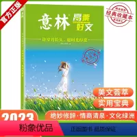 意林高票好文:许岁月长久,愿时光厚爱 [正版]意林高票好文 20周年纪念书2023初中生高中必读精选美文意林杂志中考高考