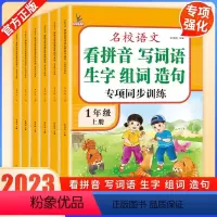 阅读理解专项训练 六年级上 [正版]小学看拼音写词语一二三四五六年级上册人教版语文专项练习册同步训练生字注音词语拼读训练