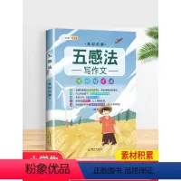 [五感法]素材积累 小学通用 [正版]五感法写作文技巧素材积累镜头法修辞法扩句法顺序法作文写作技巧小学生作文大全三到六年