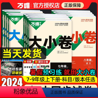 2本[物理·人教版]大小卷+同步基础题 九年级/初中三年级 [正版]2024万唯大小卷七年级上册八年级下期末考试模拟卷初