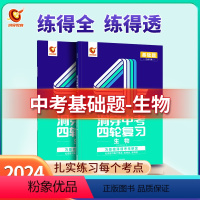 基础题丨生物(全国通用) 初中通用 [正版]2024新版洞穿中考四轮复习数学物理化学全国版英语语文4轮复习中考词汇闪过