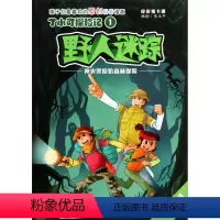 [正版]书籍(2016年)丁小可探险记:野人迷踪(彩绘) 作者江西美术出版社的书 江西美术出版社 97875480279