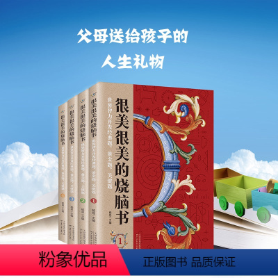 [正版] 很美很美的烧脑书全4册 世界智力开发经典题黄金题关键题共4册 杨易杨譞 益智游戏 益智游戏 天津科技图书籍