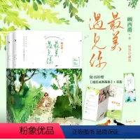 [正版]美遇见你 插图纪念版 赠:暗恋成真指南万字番外多幅彩插 暖萌青春代言人顾西爵极具口碑之作 十年
