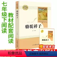骆驼祥子人教版 [正版]西游记原著完整版无删减版中学生青少年版七年级上下册bi读书人教版人民教育出版社bi读课外书原版文