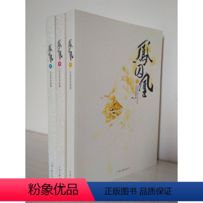 [正版]确保原版 库存图书老版本 2009年第一版 凤囚凰(上中下)全套3册 天衣有风 著 河南文艺出版社凤求凰初版绝版