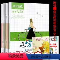 [正版]总10本打包2020新版疯狂阅读青春文字课见字如面1-8辑+赠书2本 练字帖硬笔书法文艺古风练字本手写书楷书