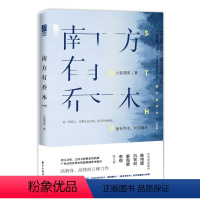 [正版]南方有乔木 小狐濡尾 著陈伟霆白百何秦海璐李现主演同名电视剧小说书籍新增番外都市言情情感青春小说书籍