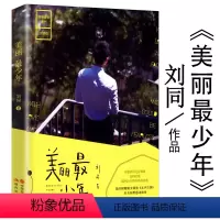 [正版]美丽少年 刘同著//缅怀青春励志小说书籍我在未来等你谁的青春不迷茫你的孤独虽败犹荣一个人就一个人