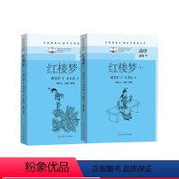 [正版]红楼梦名著课程化整本书阅读丛书初中语文名著导读高中语文整本书阅读中学生课外阅读名师领读红楼梦曹雪芹高鹗程伟元俞平