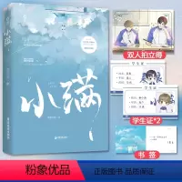[正版]小满 烟猫与酒 乐观坚韧的学霸×温柔酷哥的校霸 校园救赎型青春小说
